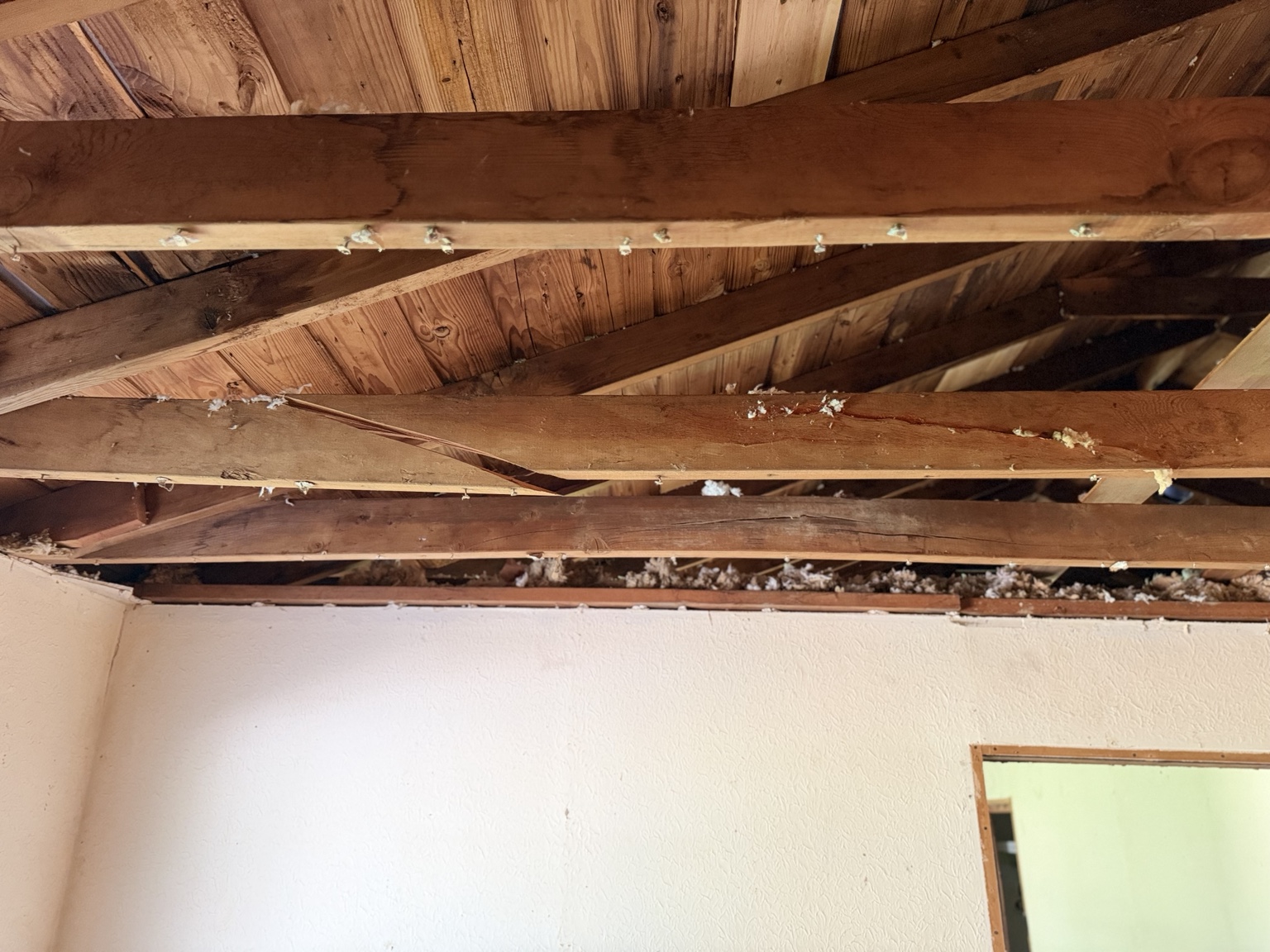 Interior renovation demolition